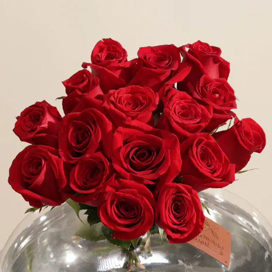Rose Glow Flowers Vase