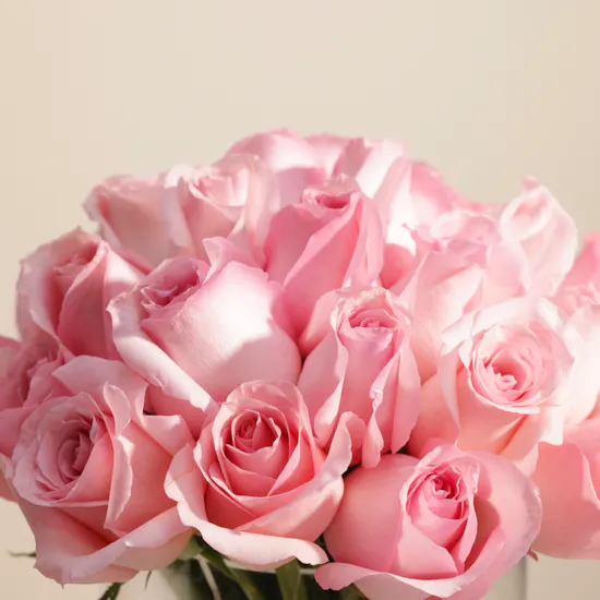 Charming Pink Rose Vase | 35 Roses