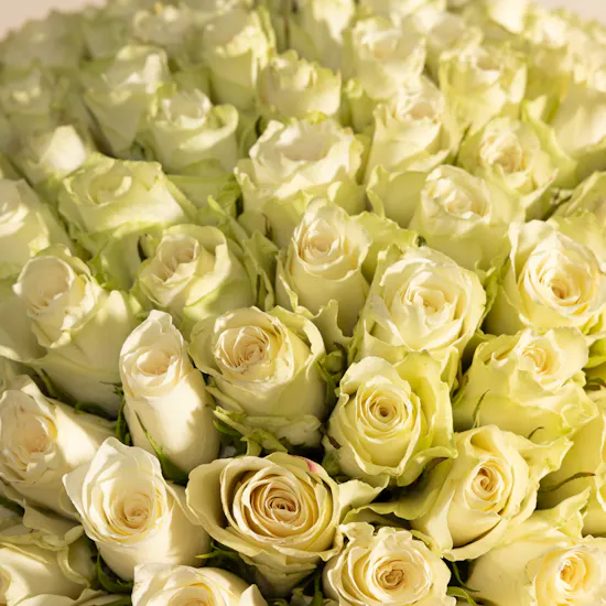 Huge White Rose Bouquet
