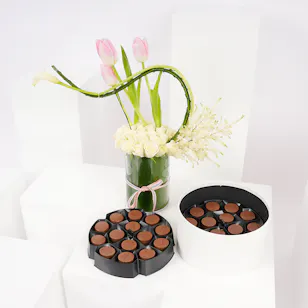 Hanoverian Mix Brand Box | Soft Elegance Hanoverian Mix Brand Box | Soft Elegance