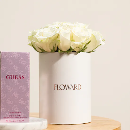 Her Modern Muse Gift Set