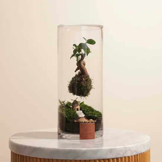 Elegant Terrarium Vase