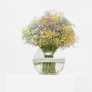 Calming Gypsophila | Vase Calming Gypsophila | Vase