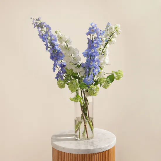 Delphinium Cloud Vase