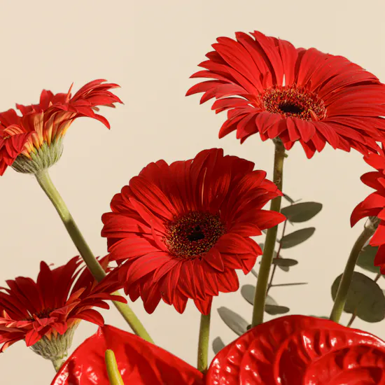 Klar Signature Gift Card | Blooming Vase