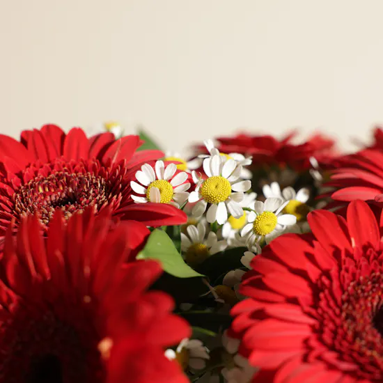 Crimson Radiance Flowers Vase