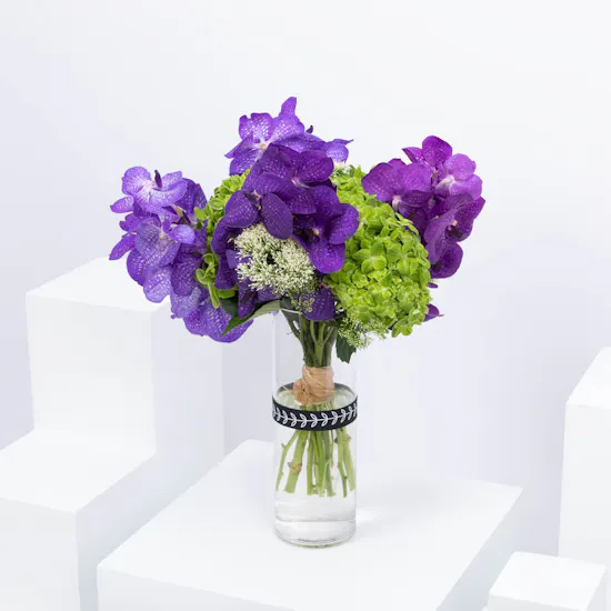 Magic Violet Vase
