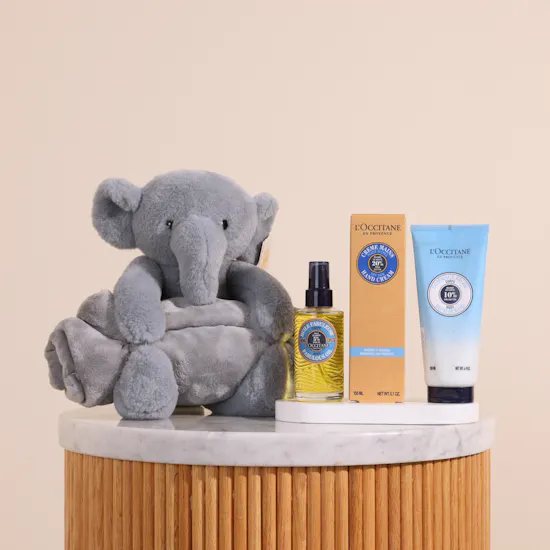 L'Occitane Shea Trio Women's Set | Floward Plush Toy with Blanket Set