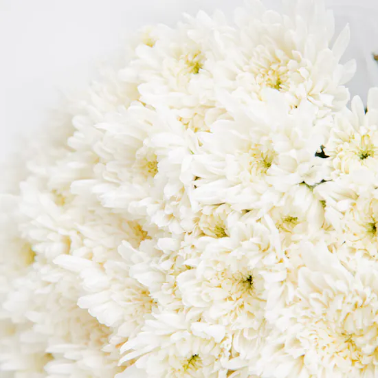 Mont Blanc Emblem EDT For Him 100 ml | White Chrysanthemum