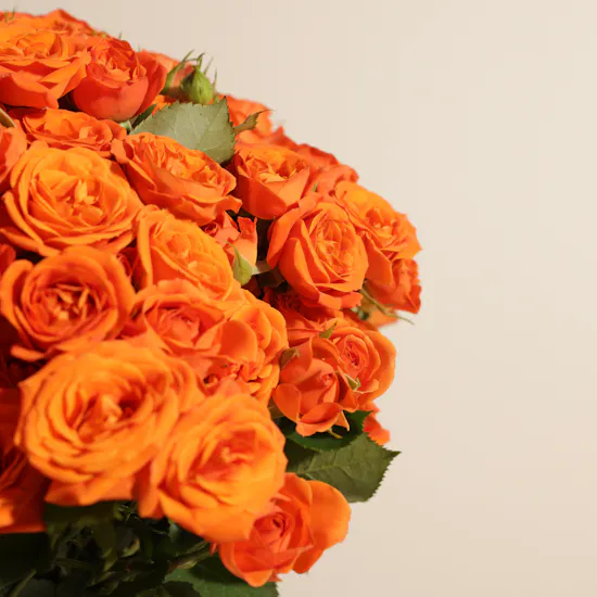 Orange Baby Roses Vase | 50 Flowers