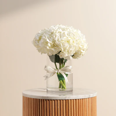 White Hydrangea Enchanting Vase White Hydrangea Enchanting Vase