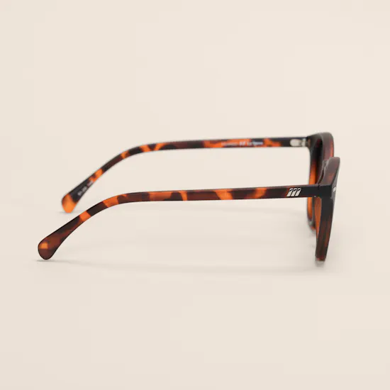 Le Specs Bandwagon Round Matte Tort Color Unisex Sunglasses