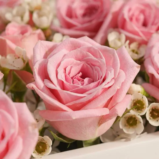 Pink Baby Girl Floral Tray