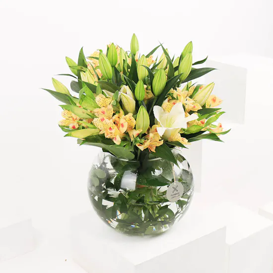 Beginning of Optimism | Vase