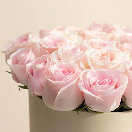 Emma Signé Beige Chiffon Scarf | Escada Magnetism Perfume and Flowers