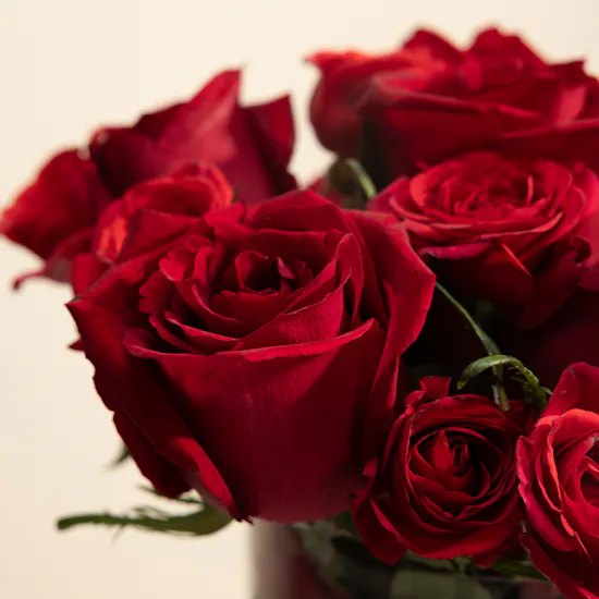 Red Symphony Rose Vase