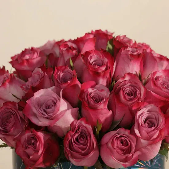 Royal Purple Rose Box | 25 Flowers