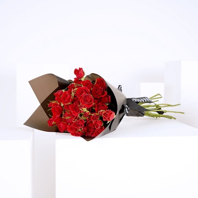 20 Red Baby Roses Hand Bouquet