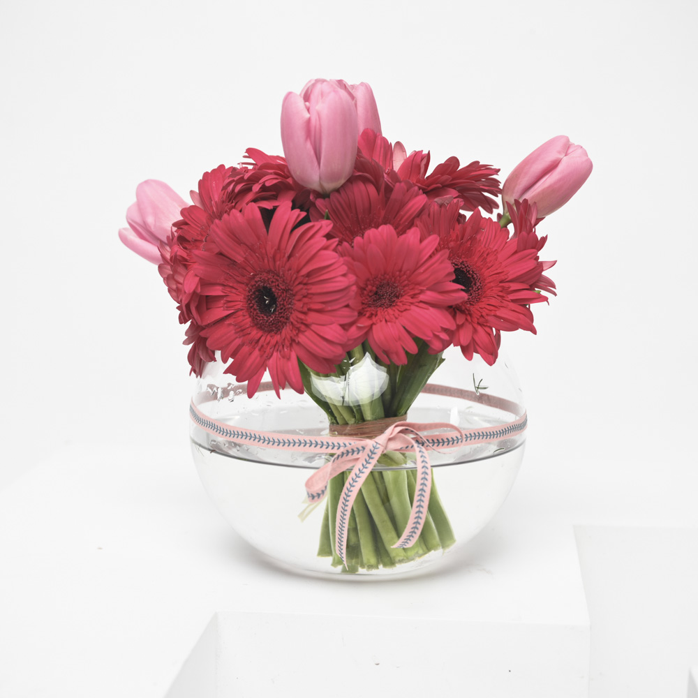 احمرار الفوشيا | مزهرية زجاجية