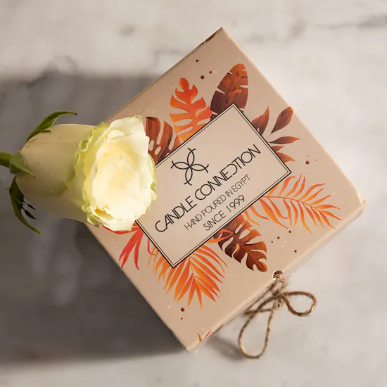 Candle Connection Bundle IV