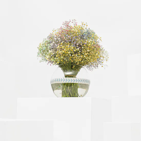 Calming Gypsophila | Vase