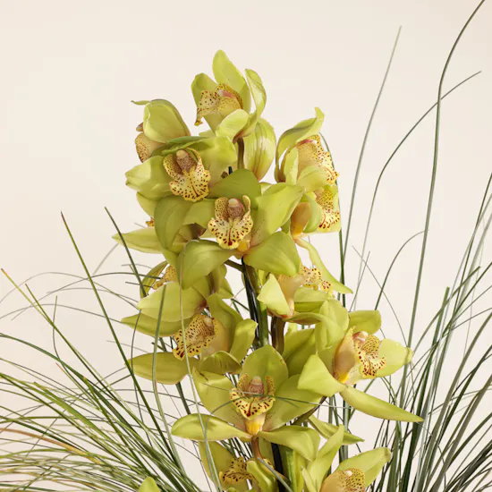 Vibrant Beauty Vase