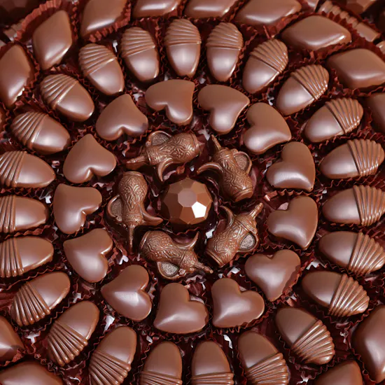 Floward Assorted Large Chocolate Tray