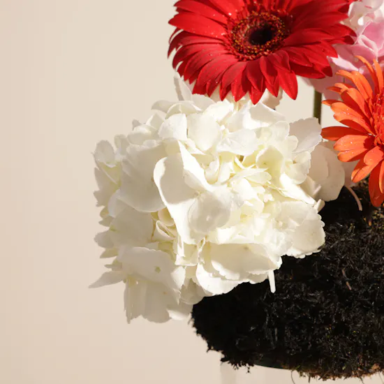 Aani & Dani Pistachio Pudding Cake | Unique Elegance Flowers
