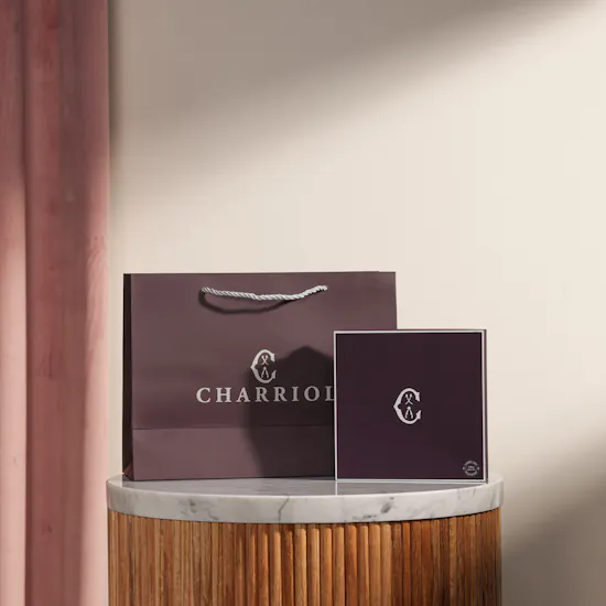Charriol Infinity Zen Necklace