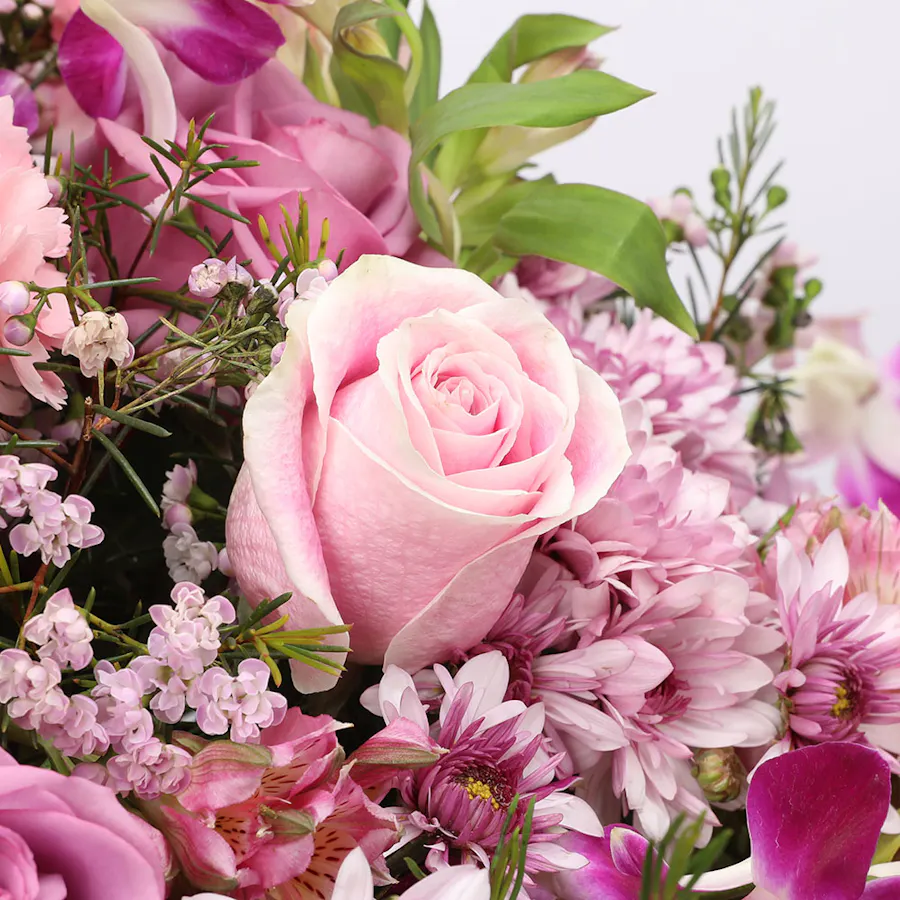 Florish Love  6