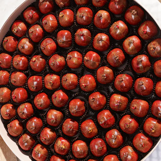 Opera Roman Chocolate Box