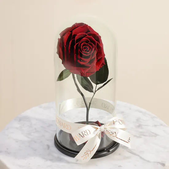 Dark Red Single Preserved Rose Dome