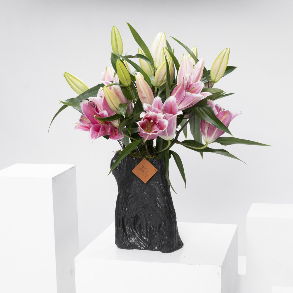 شجرة الليلي