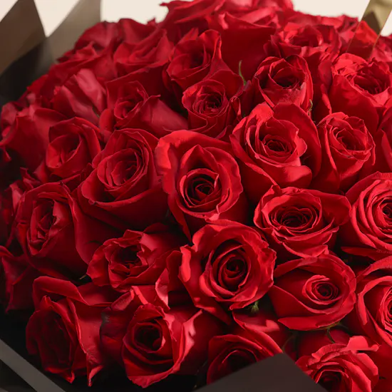 100 Congrats Roses