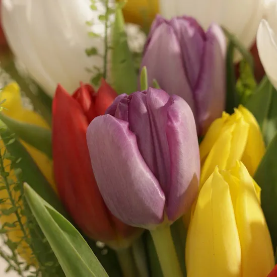 Exquisite Tulip Beauty Vase