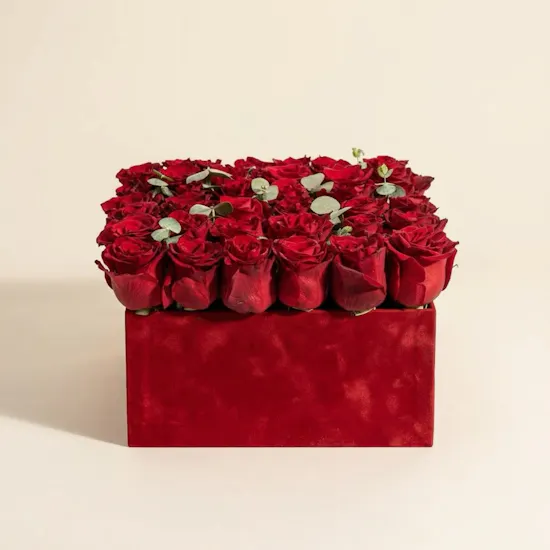 Red Romance Harmony Box