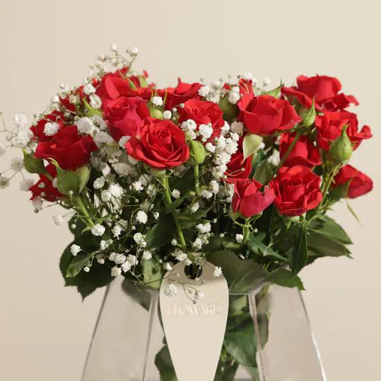Whisper Elegance Red Baby Rose Vase
