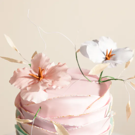Cake Boutique Creative Cake