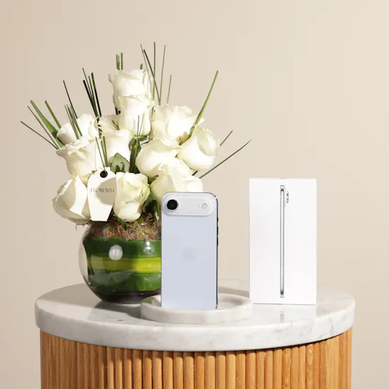 Apple Sky Blue iPhone 17 Air 256 GB | Charming Flower Vase