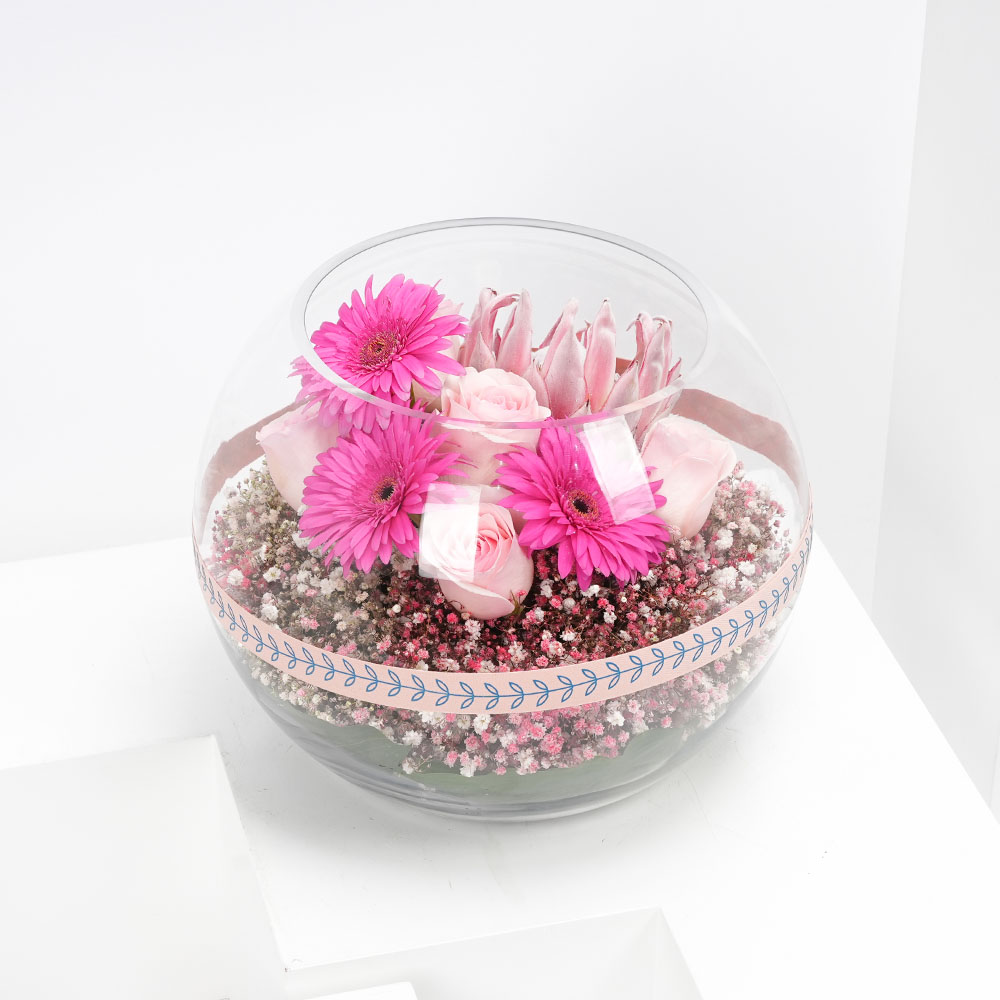 جمال الربيع | فازة دائرية