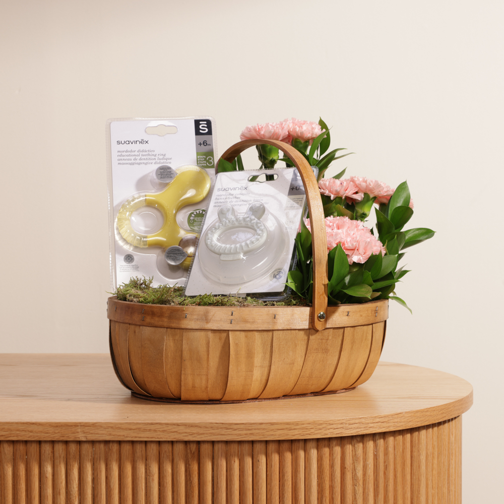 عضاضة سيليكون للأطفال من سوافينكس | كارنشين وردي 