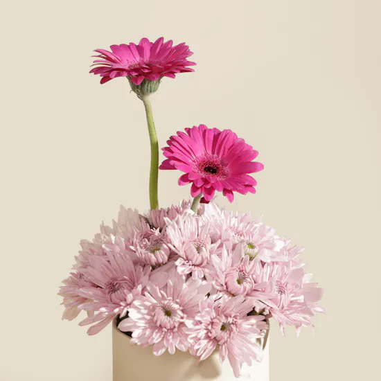 Omani Women's Day Proudly Poised Gift Set