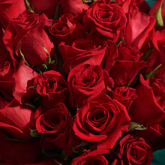 Sweet Radiance Red Roses Bouquet
