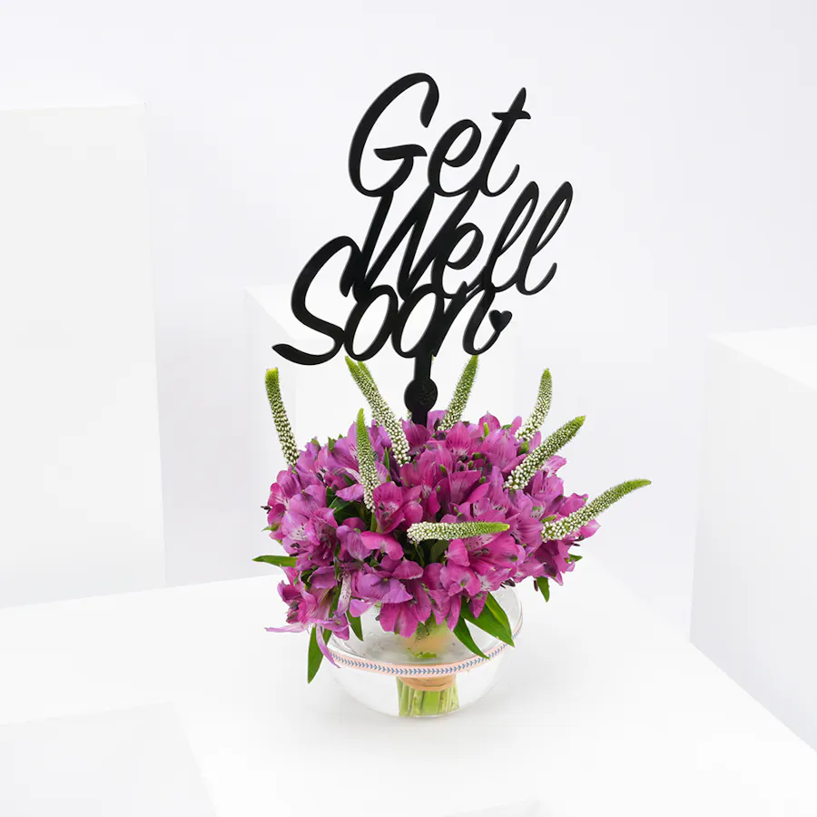 Get well soon | Purple Alstromeria  3