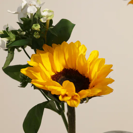 Stunning Flowers Vase