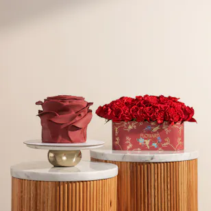 Floward Red Rose Premium Cake | Iconic Red Roses Floward Red Rose Premium Cake | Iconic Red Roses