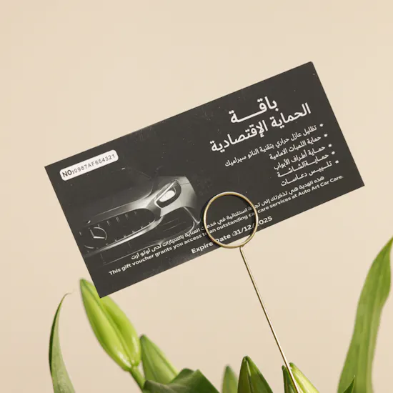Auto Art Car Economic Protection Package Gift Voucher | Blushing Flowers Vase