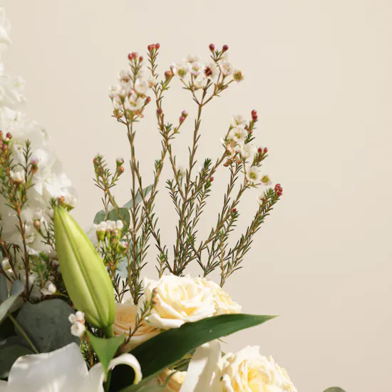 Soft Serenade Flowers Box