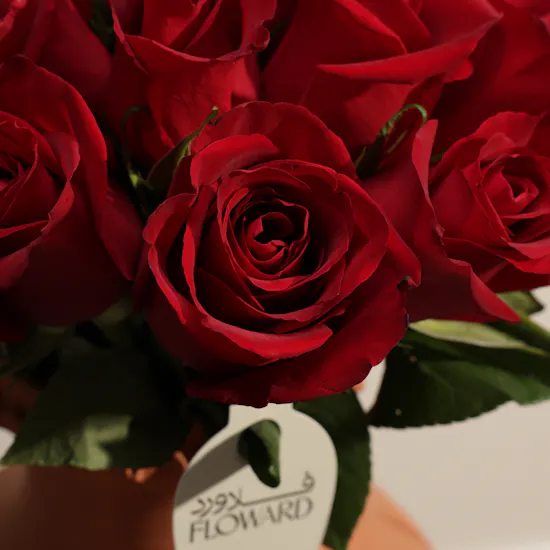 Scarlet Beauty Vase