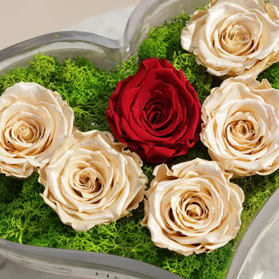 Preserved Elegant Rose Heart Vase